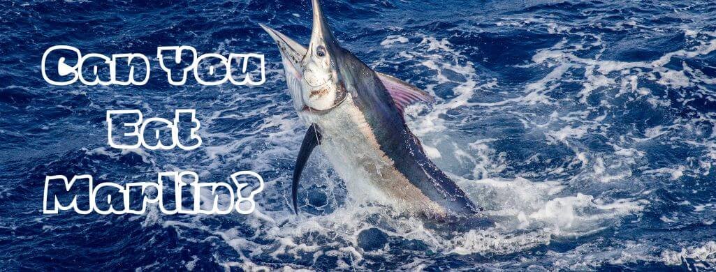 can you eat marlin